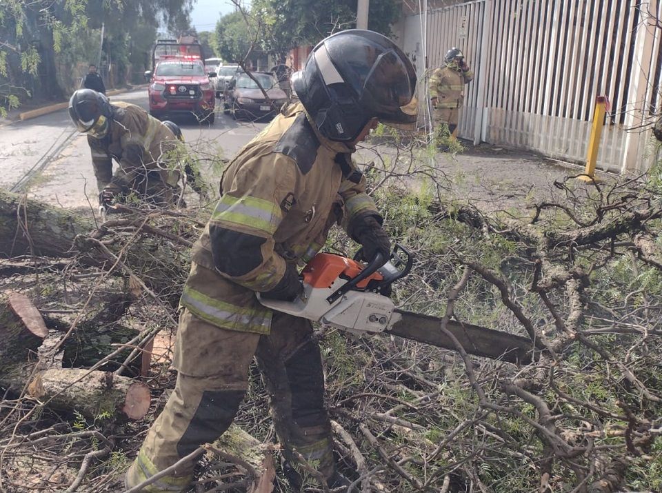 Equipo de contingencia de Texcoco retira árboles que cayeron por lluvia