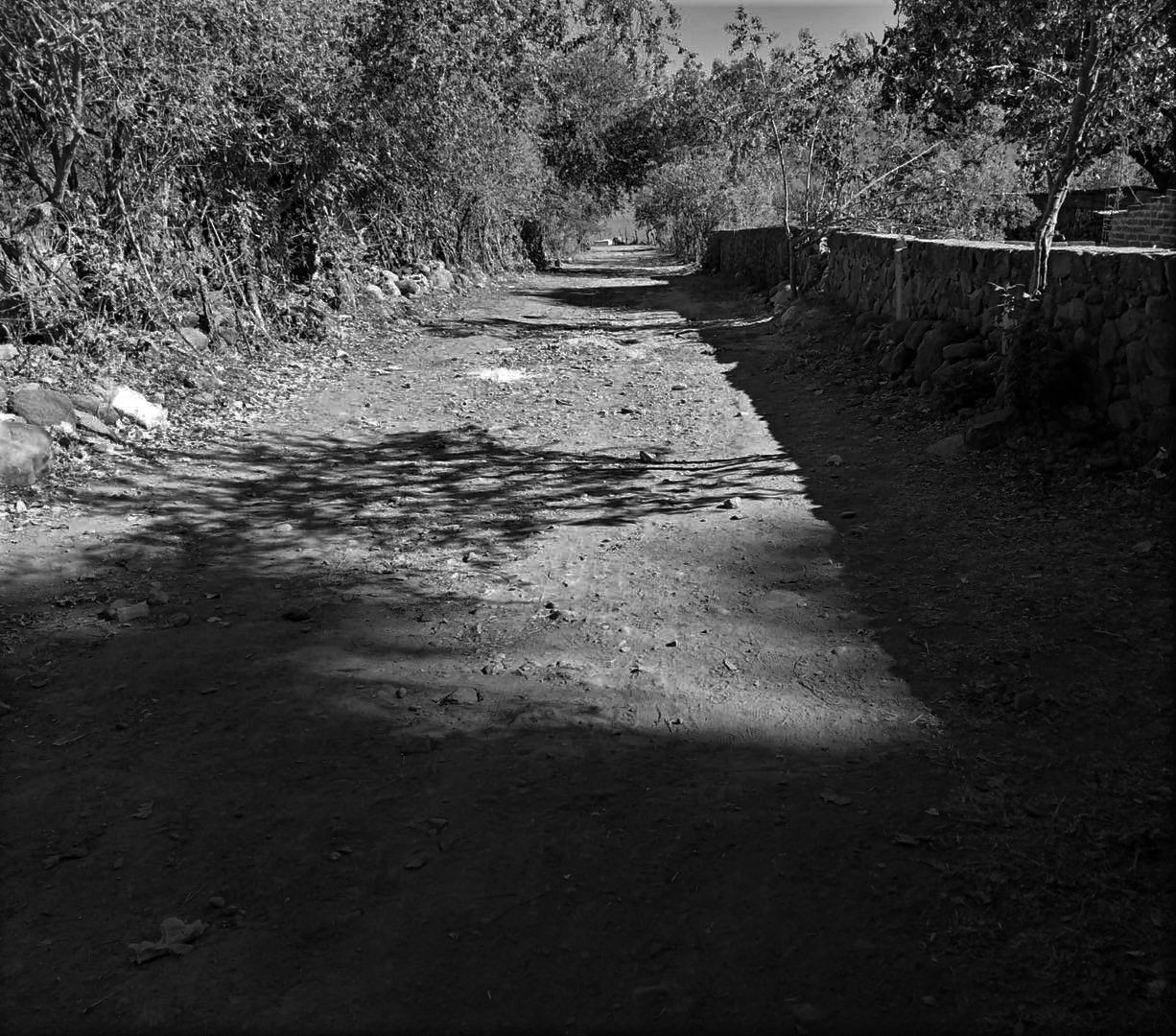 EL APARECIDO DE POTRERILLOS