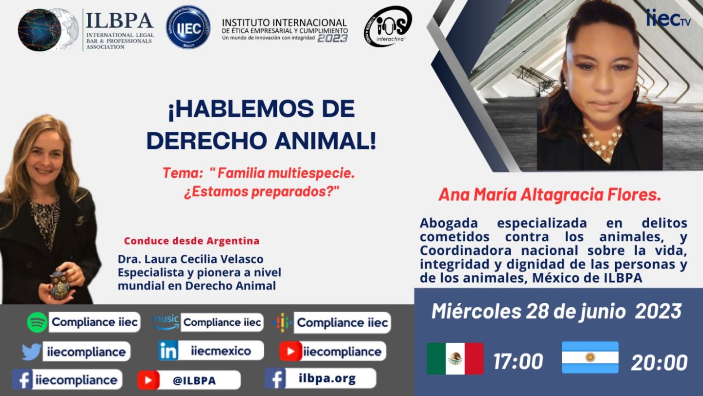 Hablemos de Derecho Animal