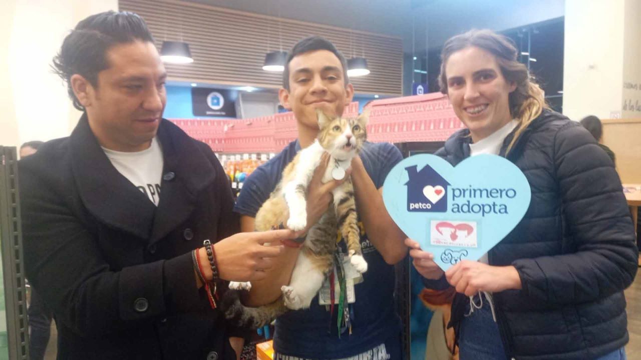 PROMUEVE ASISTENCIA PRIVADA LA ADOPCIÓN DE ANIMALES EN SITUACIÓN DE CALLE