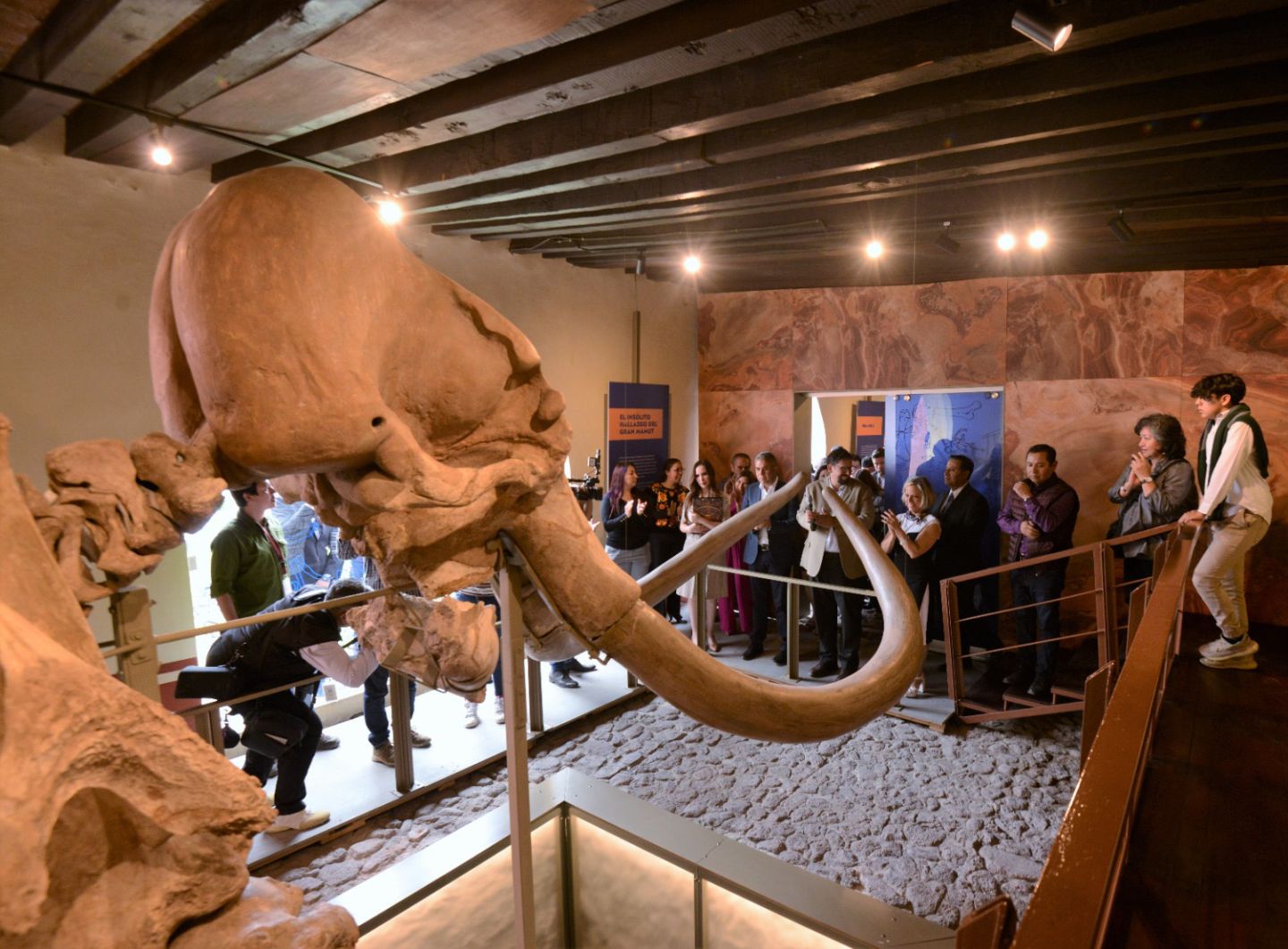 Después de ser visto por millones de personas regresa el mamut de Ecatepec a casa de Morelos 