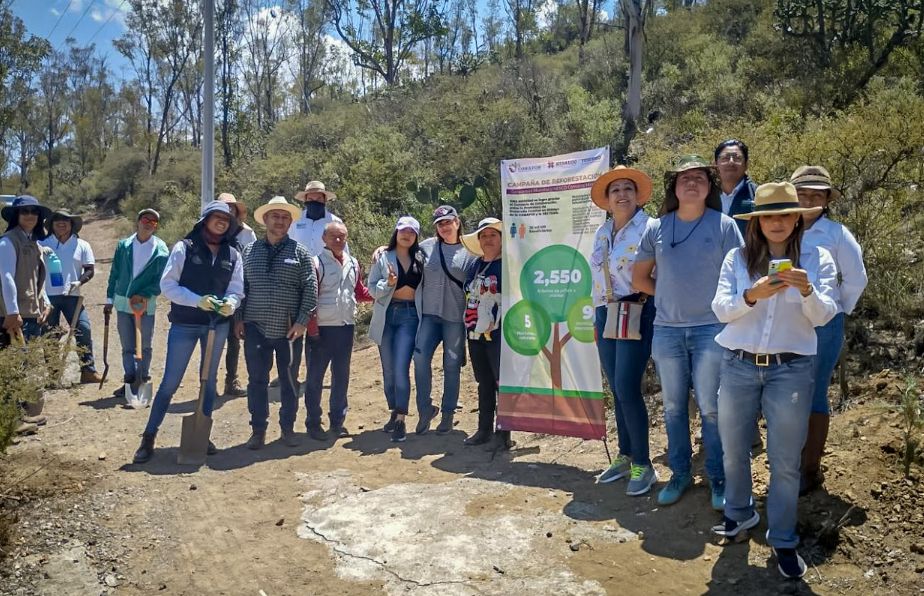 Finaliza jornada de reforestación en Geoparque Comarca Minera  