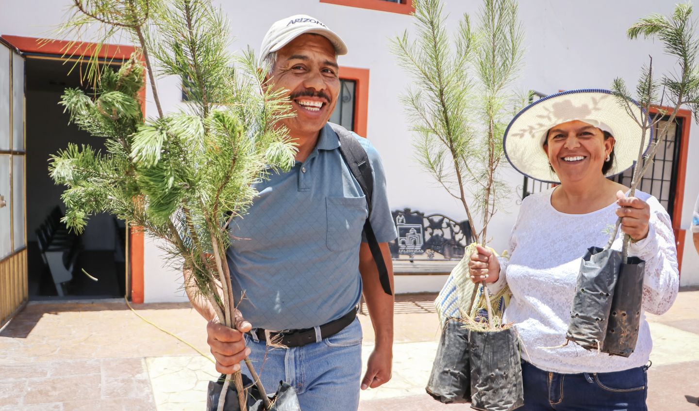 Donadas más de 100 mil plantas para impulsar la restauración ecológica en Hidalgo