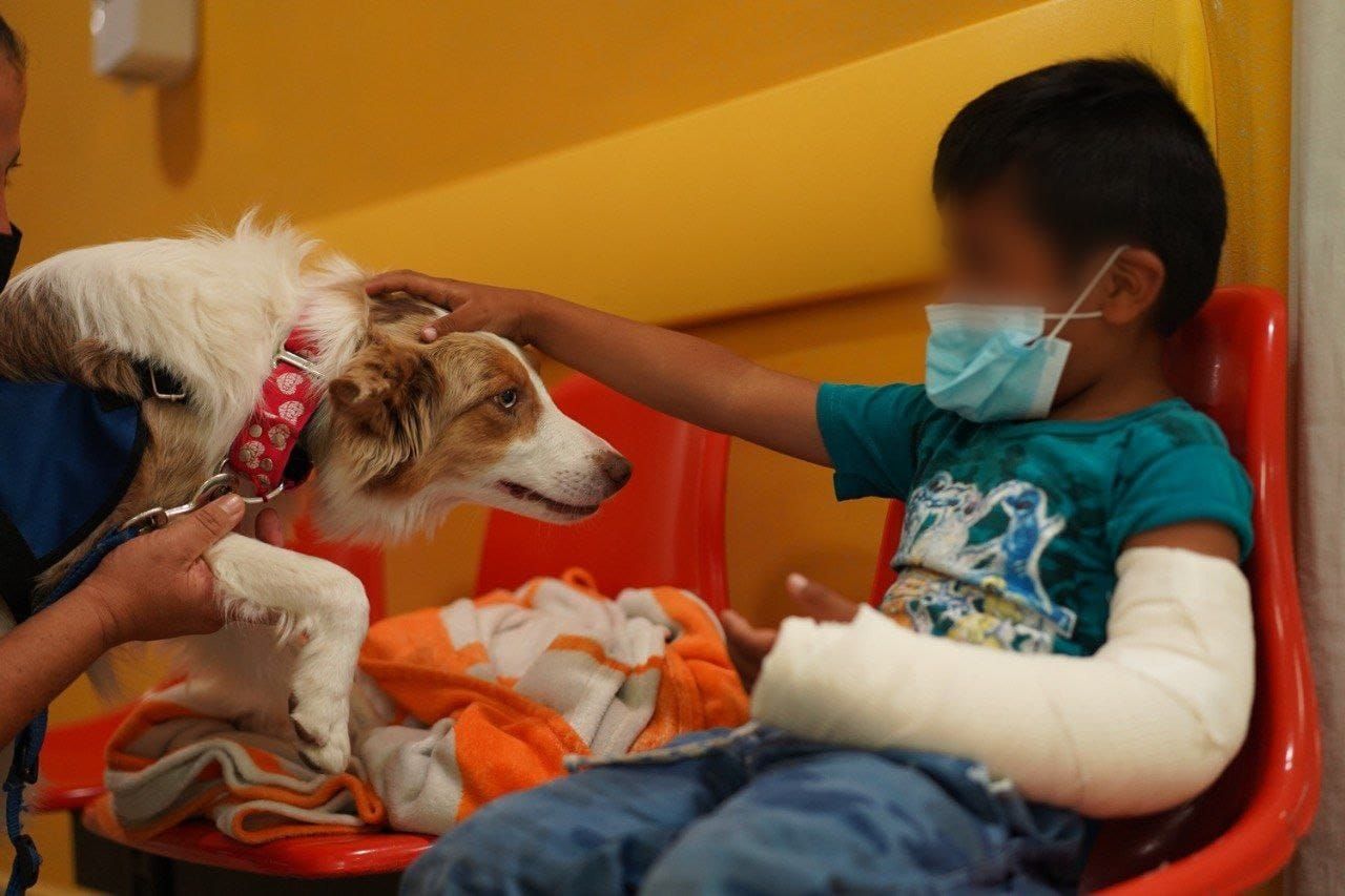 Hospital del Niño DIF Hidalgo, institución pionera en terapia canina