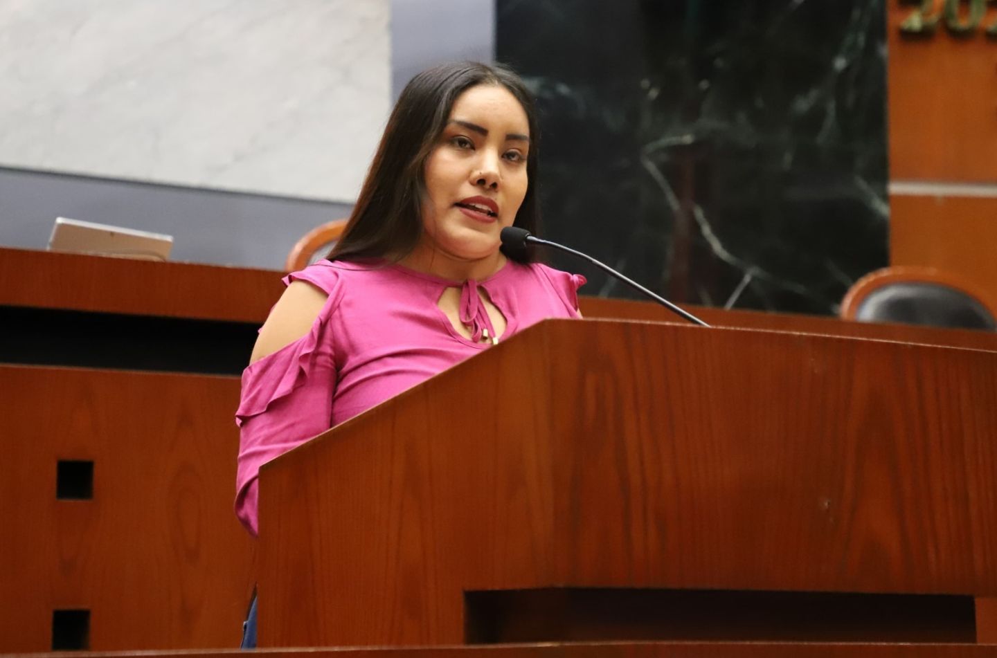 Propone diputada regularizar 
horarios y tarifas del Transporte Violeta