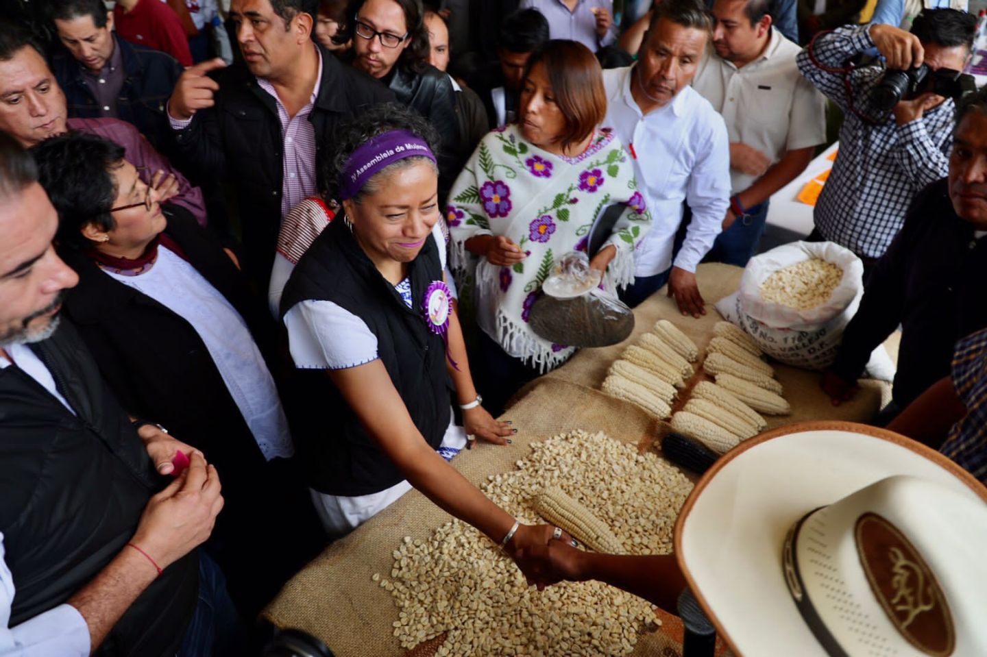 Volverá a ser maíz nativo mexiquense  sustento y base alimentaria en el Estado de México