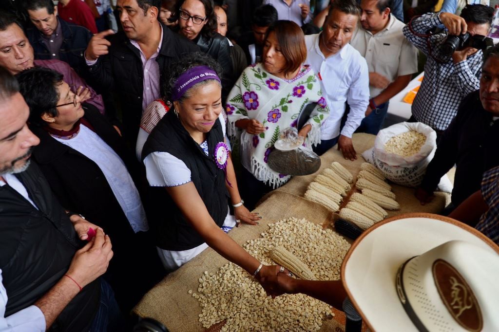 El maíz nativo mexiquense volverá a ser  sustento y base alimentaria en el Edoméx
