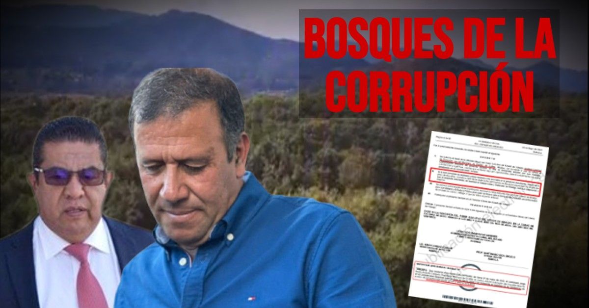 Los ’Bosques de la corrupción’, el escándalo que enloda al alcalde de Omitlán