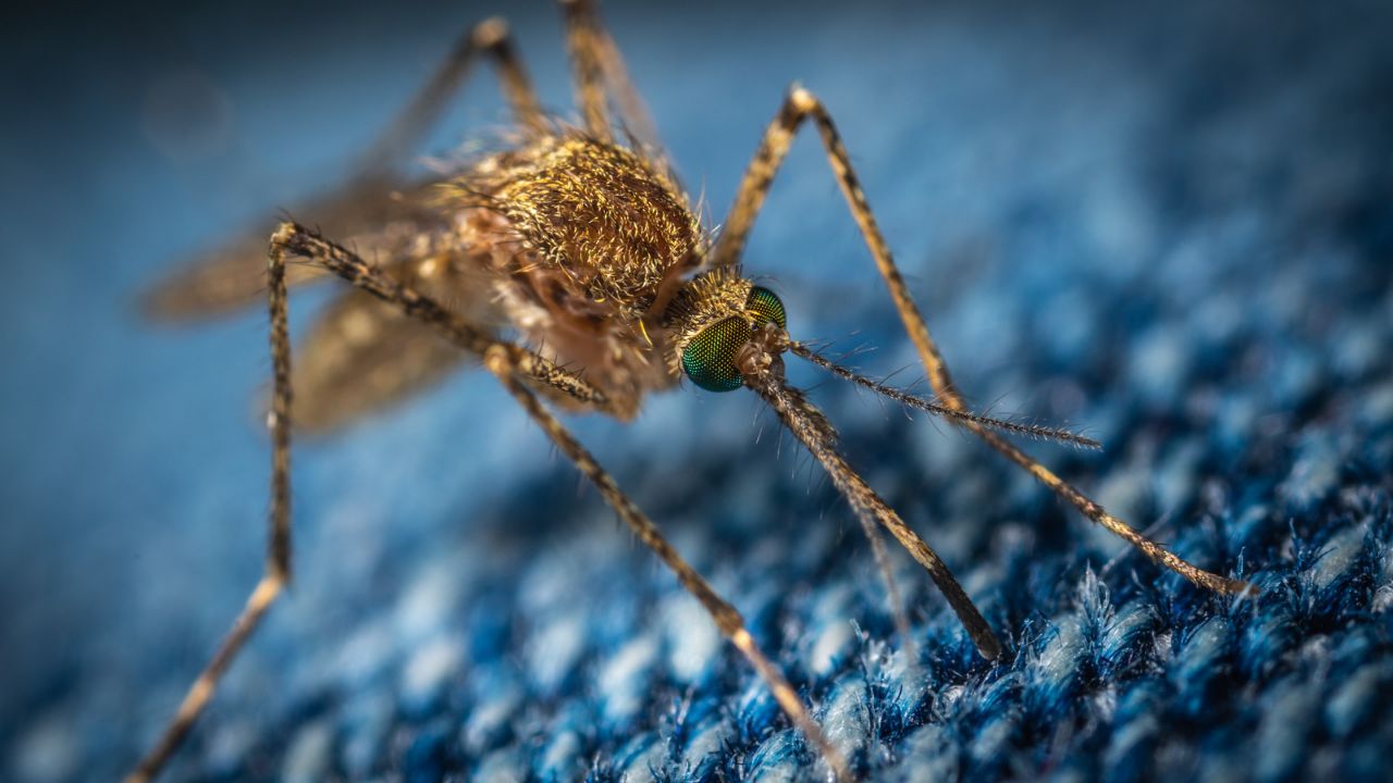 SSH llama a trabajar permanente y mantener en ceros los casos de paludismo