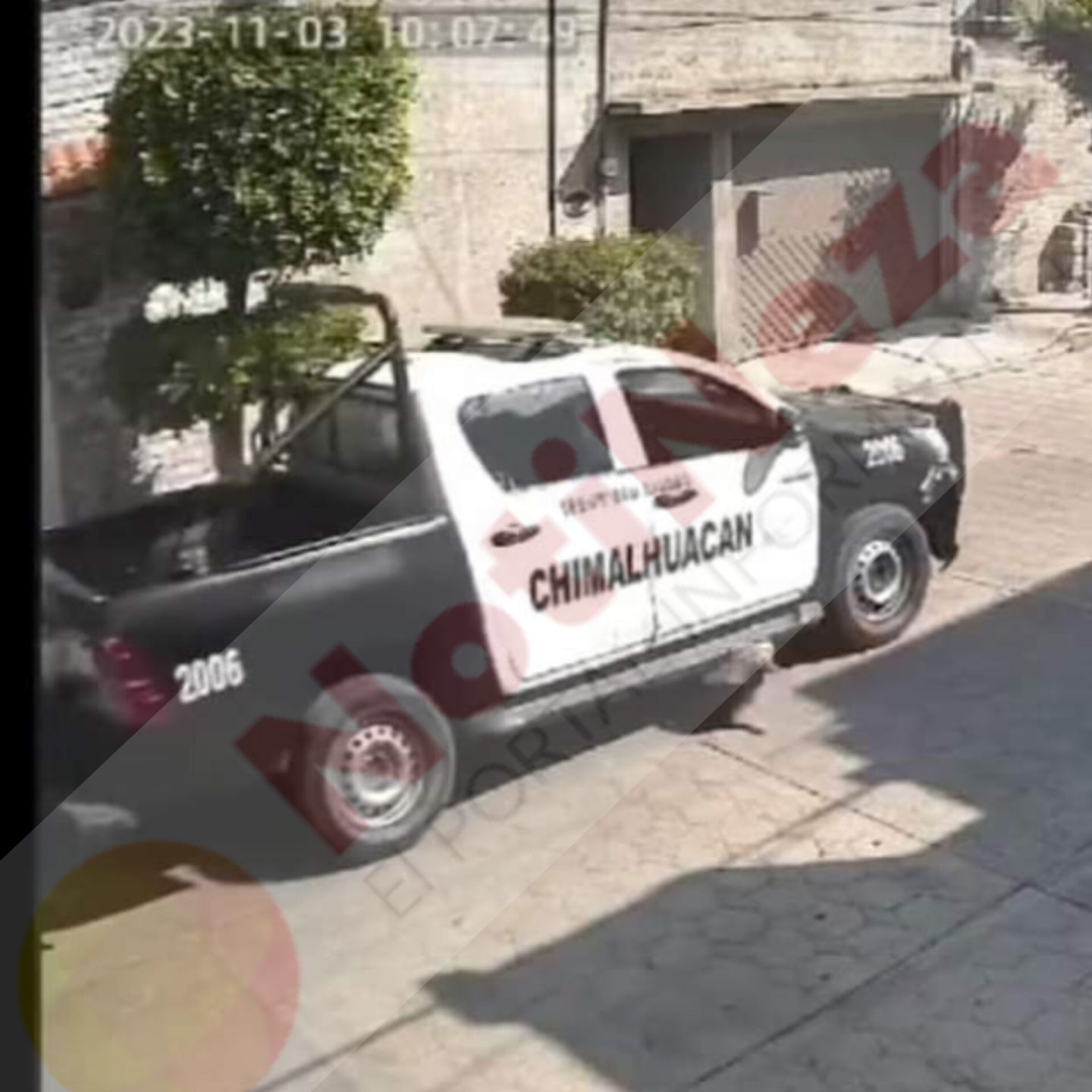 Policías municipales  de Chimalhuacán atropellan a propósito a perrito en la calle