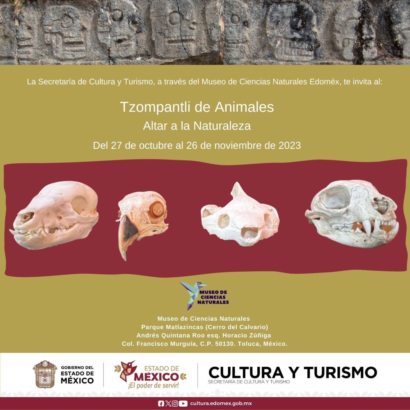 Museo de Ciencias Naturales del Estado de México ofrece un homenaje a los seres vivos con ’Tzompantli de animales. Altar a la naturaleza’