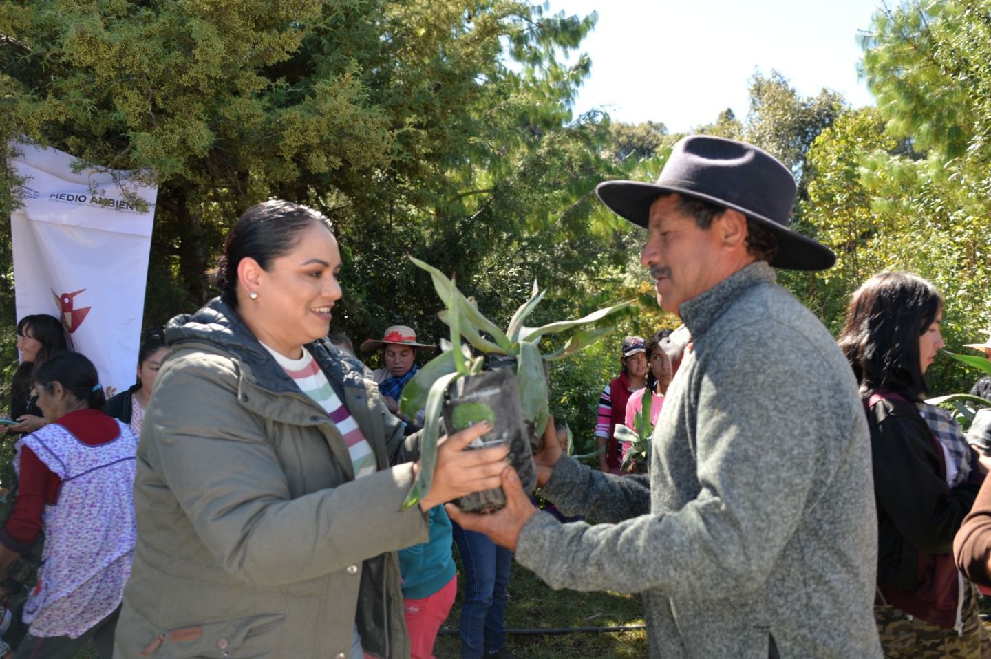 Plantan 500 ejemplares de maguey agavero para forestar en Almoloya de Juárez 