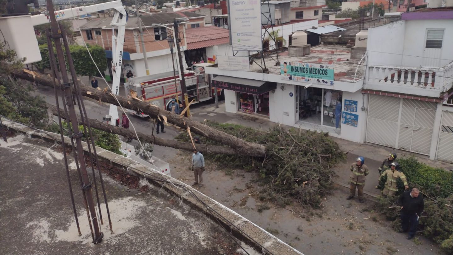 Protección civil de Texcoco atiende la caída de árboles y un espectacular 
