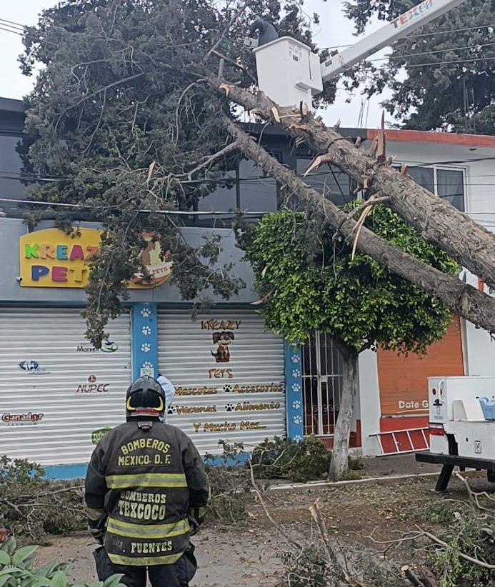 En Texcoco protección civil atendió  la caída de 14 árboles y un espectacular 
