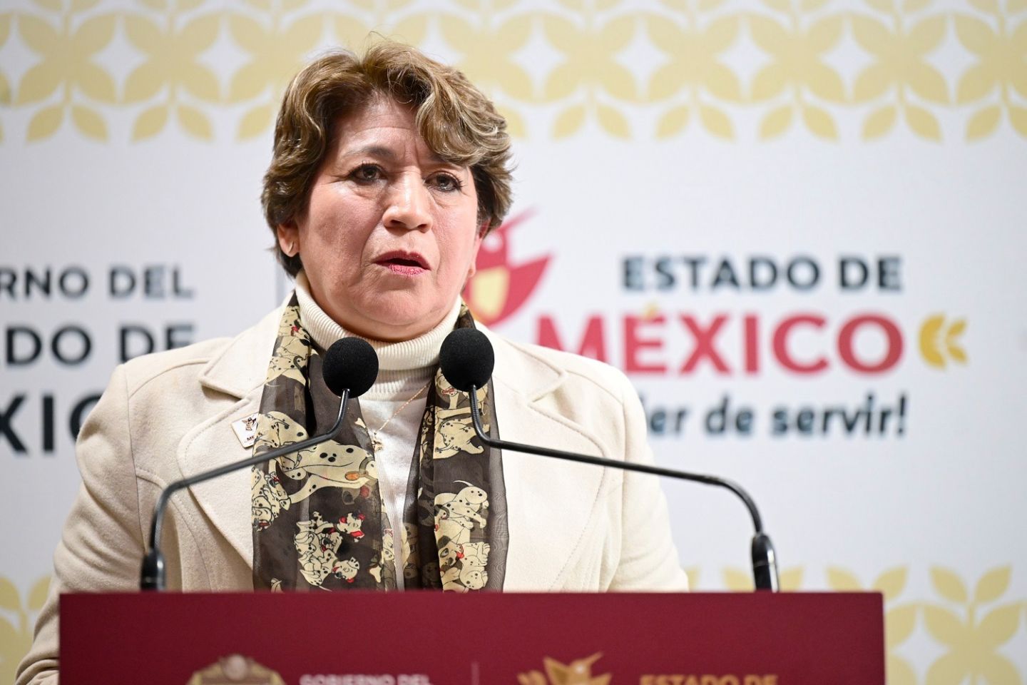 PRI arremetió  contra el gobierno de Delfina Gómez 