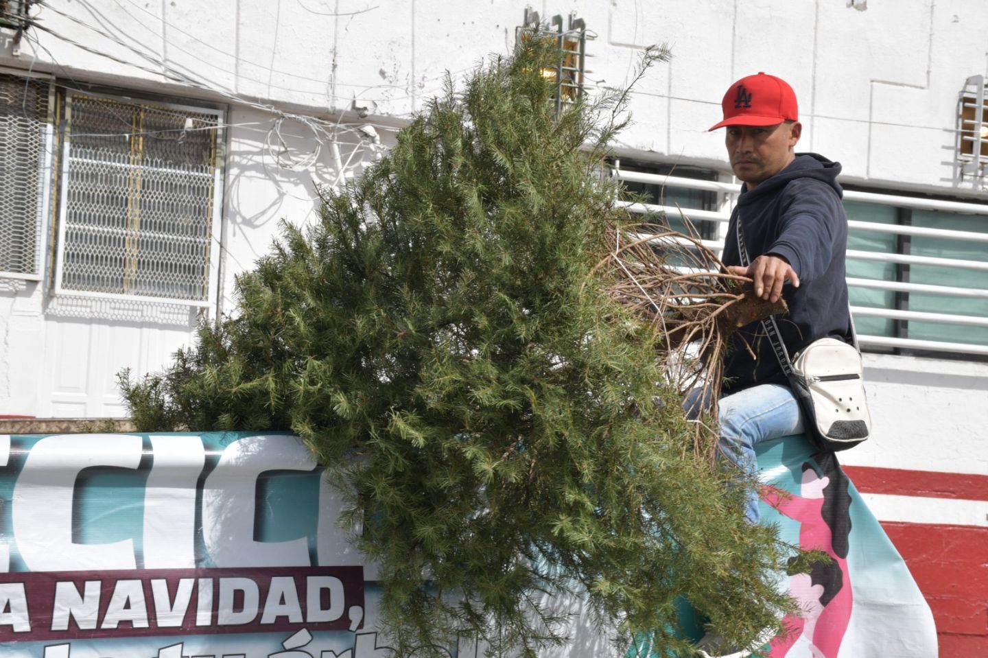 Buscan prevenir incendios en Nezahualcóyotl reciclando árboles de navidad 