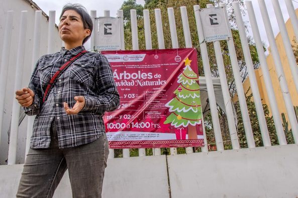 Fomentan Cuidado del Ambiente con Programa de Recolección y Reciclaje de Árboles de Navidad en Chimalhuacán


