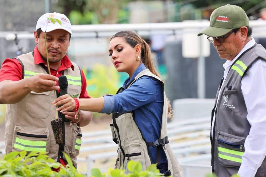 Alista Evelyn Salgado campaña de reforestación para Acapulco y Coyuca de Benítez