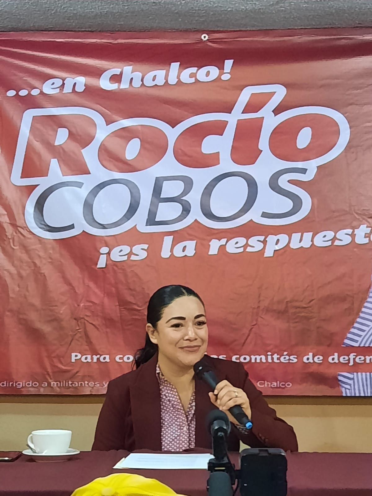 Luego de Muchos Años de Trabajo Partidista, Rocío Cobos Urióstegui Aspira a ser Alcaldesa de Chalco por MORENA