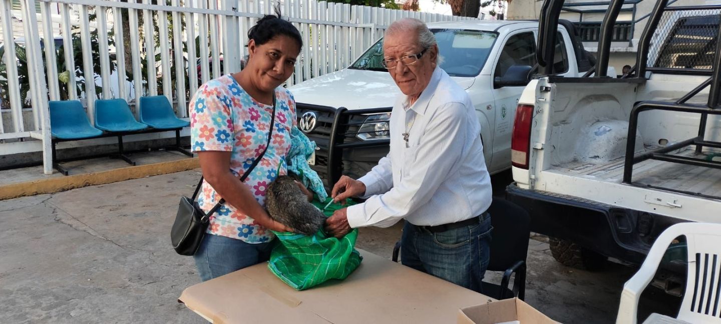 Continúa gobierno de Acapulco con Campaña de Esterilización de Mascotas