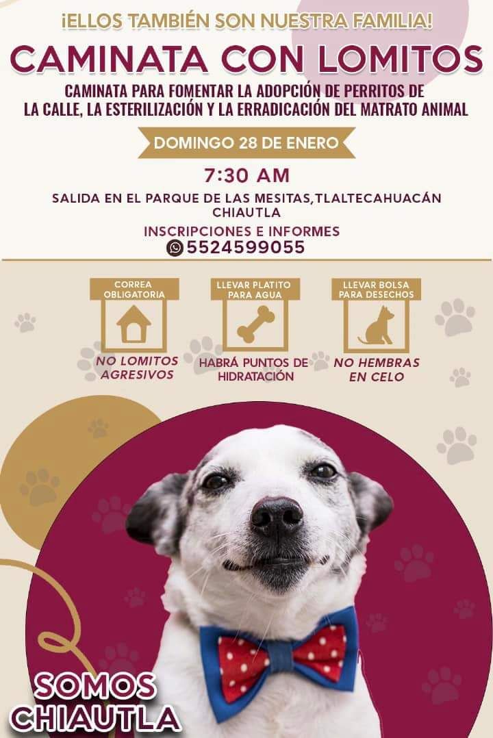 Este 28 de Enero Realizaran la primera Caminata Canina Familiar en Tlaltecahuacan Chiautla Edomex .
