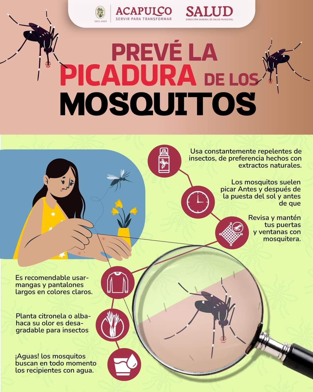 Emite gobierno de Acapulco recomendaciones a la población para evitar casos de dengue