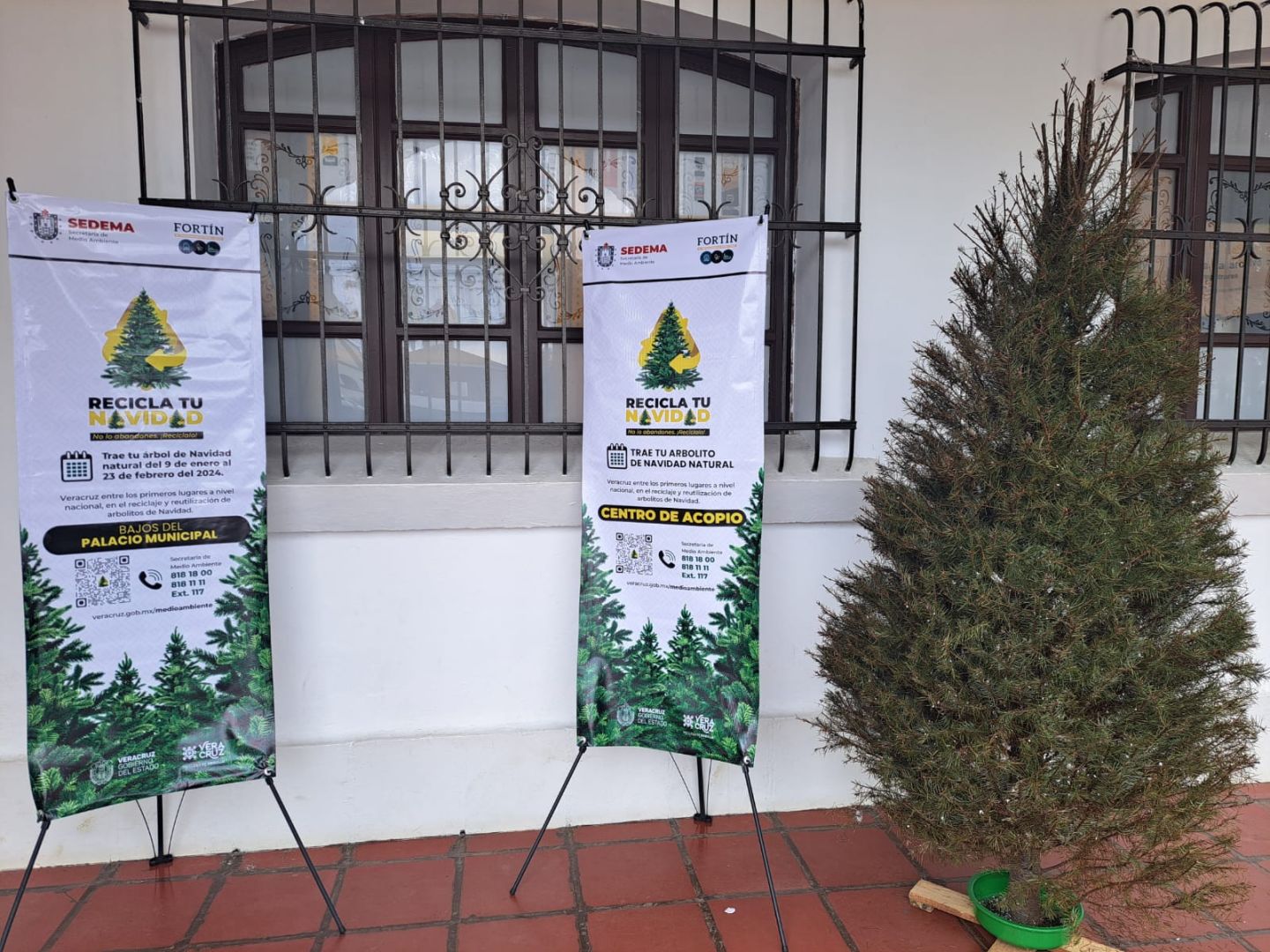 Exhorta ecología a participar en la campaña recicla tu navidad 
