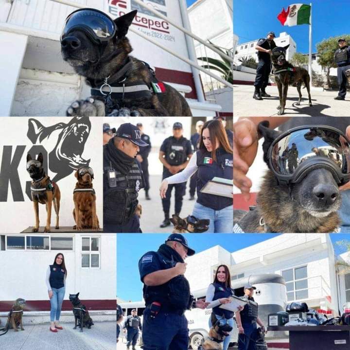 Esmeralda Vallejo entrega equipo a la Unidad Canina de la policía de Ecatepec.
