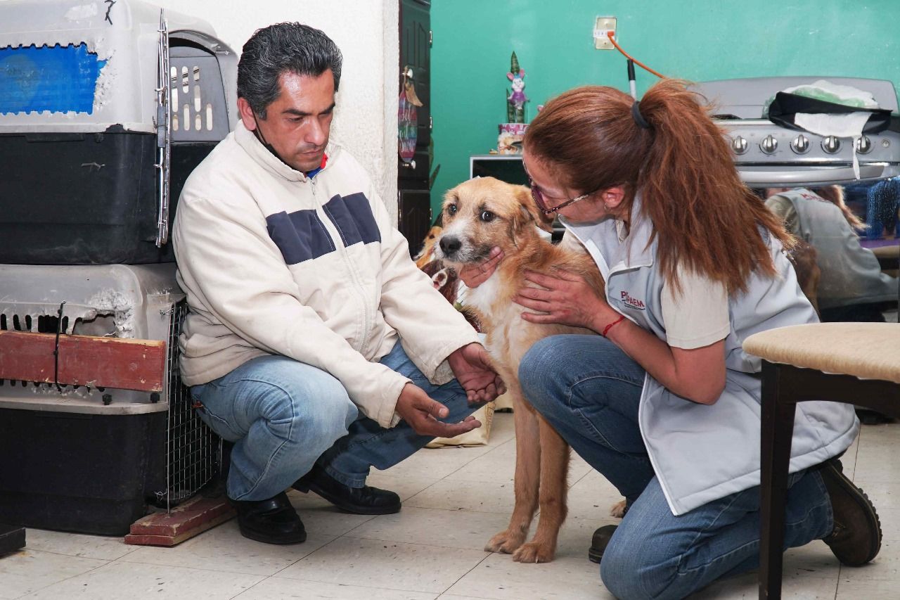 Gobierno de Ecatepec brindará atención a 19 perros rescatados del abandono: Edmeralda Vallejo