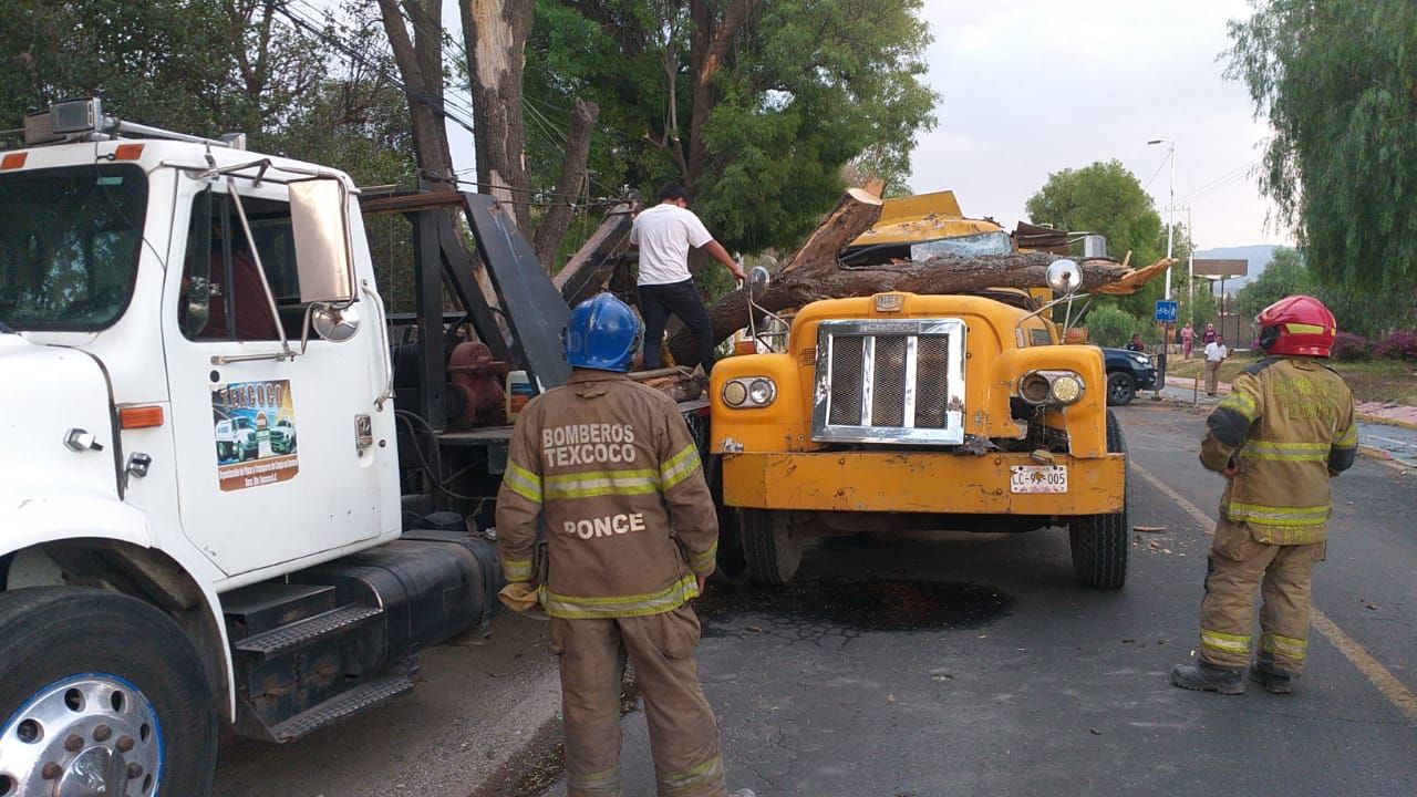 Cae árbol sobre pipa de agua y tira cableado de energía eléctrica en Texcoco  