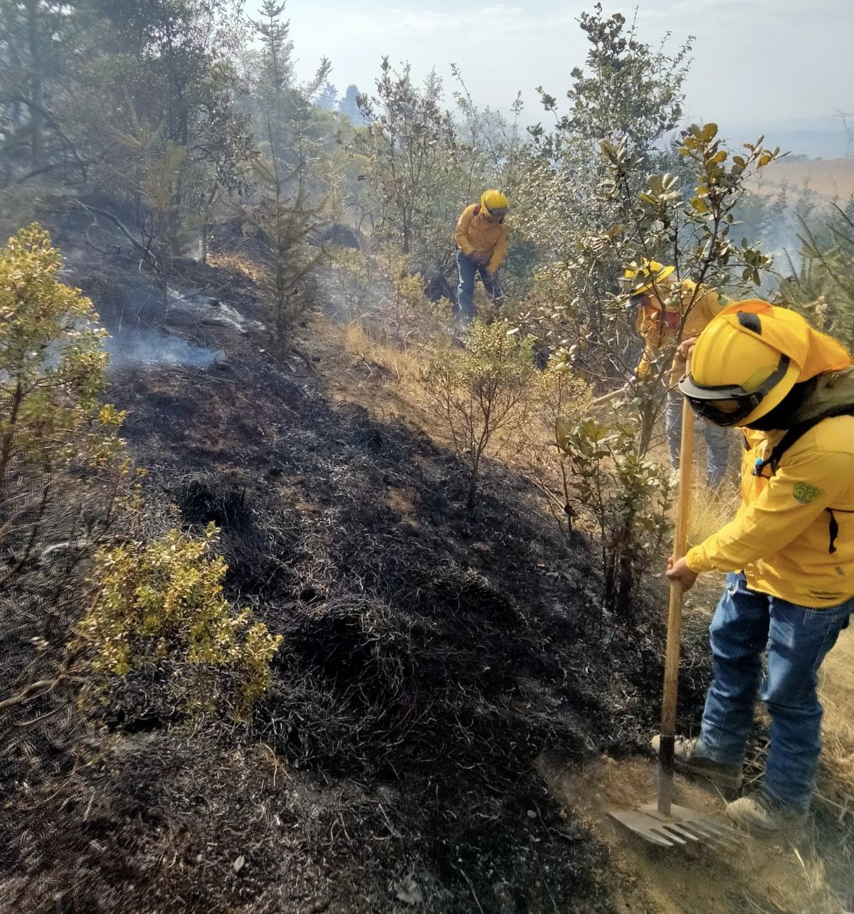 Bomberos, PROBOSQUE, CFE y pobladores laboran para abatir incendio forestal en Santa María en Texcoco 
