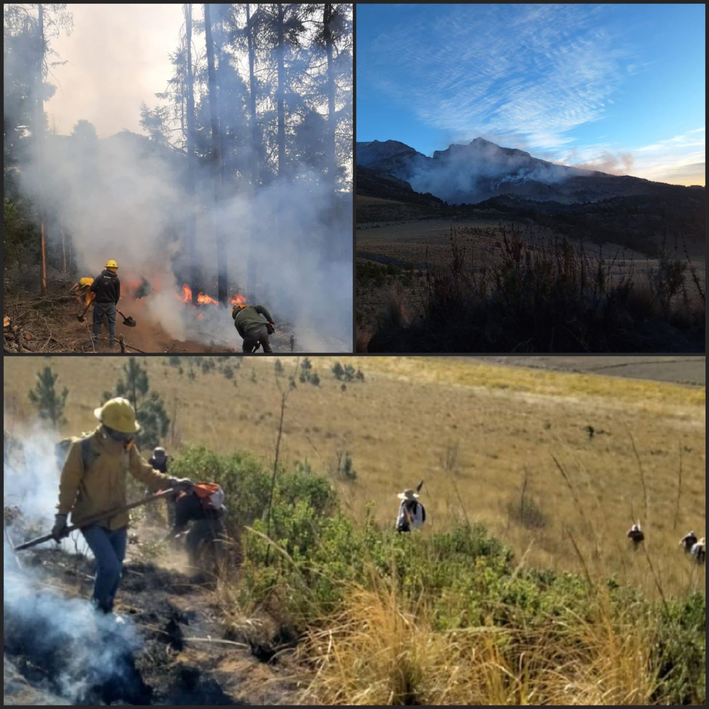 Reportan brigadistas control total del incendio forestal en Texcoco, en Amecameca llevan avance del 70%