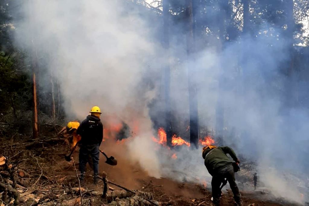 Reportan brigadas control en incendios forestales de Texcoco y Amecameca