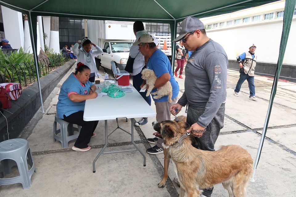 Participa Texcoco en jornada nacional de vacunación canina y felina 2024