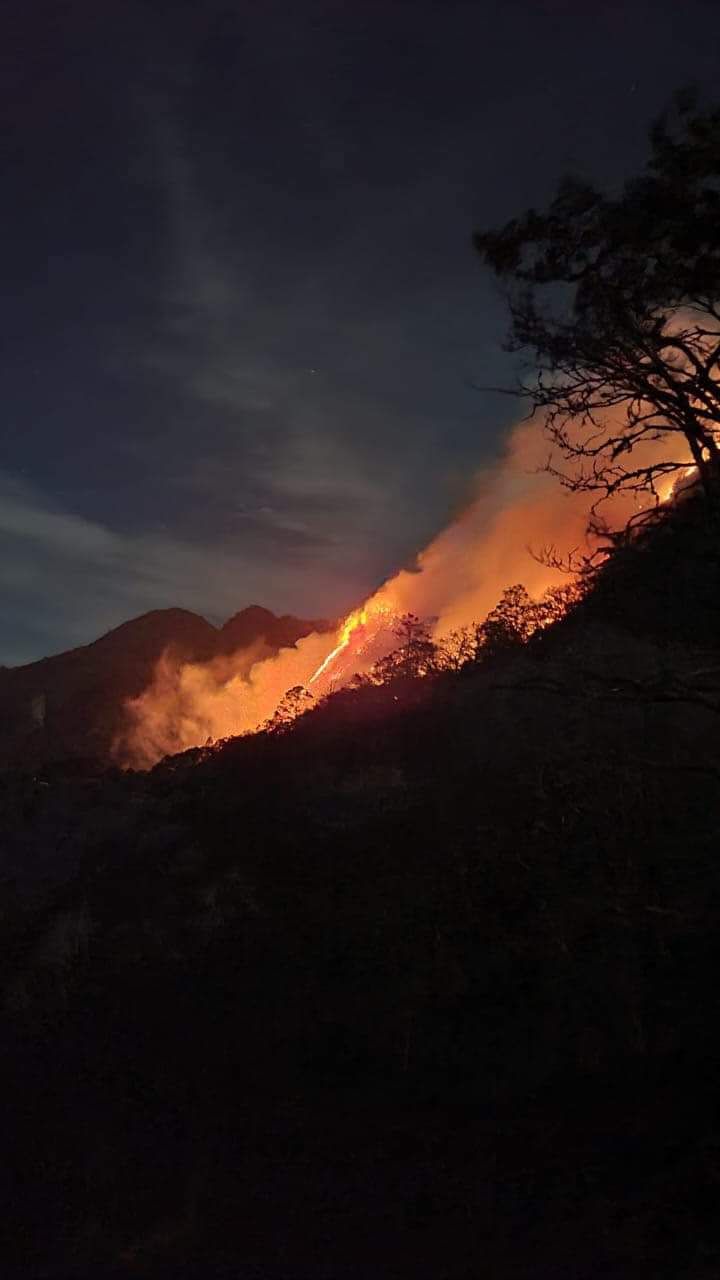 Únete a la colecta de víveres por incendios forestales en Hidalgo