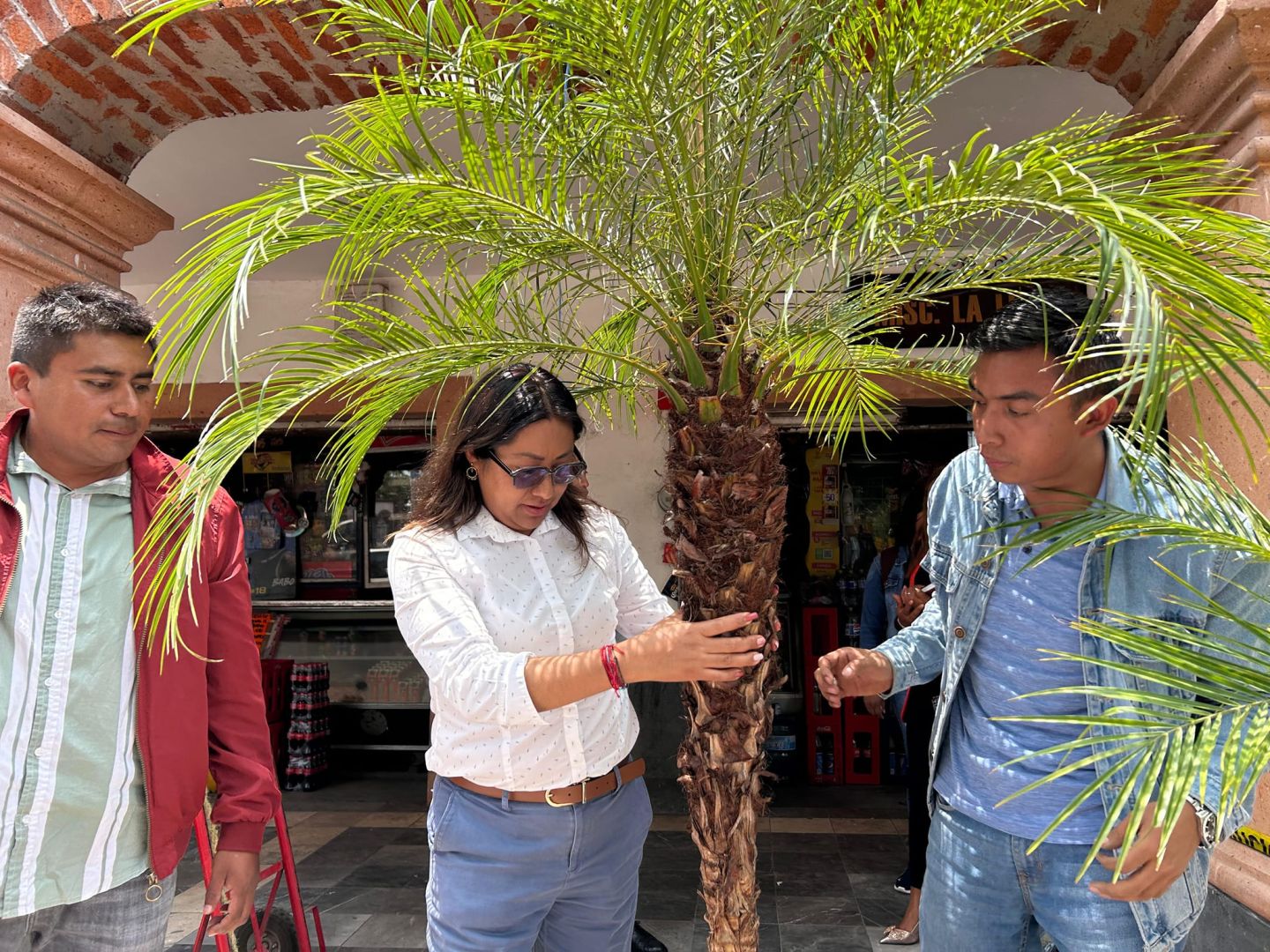 Va Chimalhuacán por la Reforestación y Rescate de Areas
Verdes, Incluidas las Subsistentes en el Chimalhuache