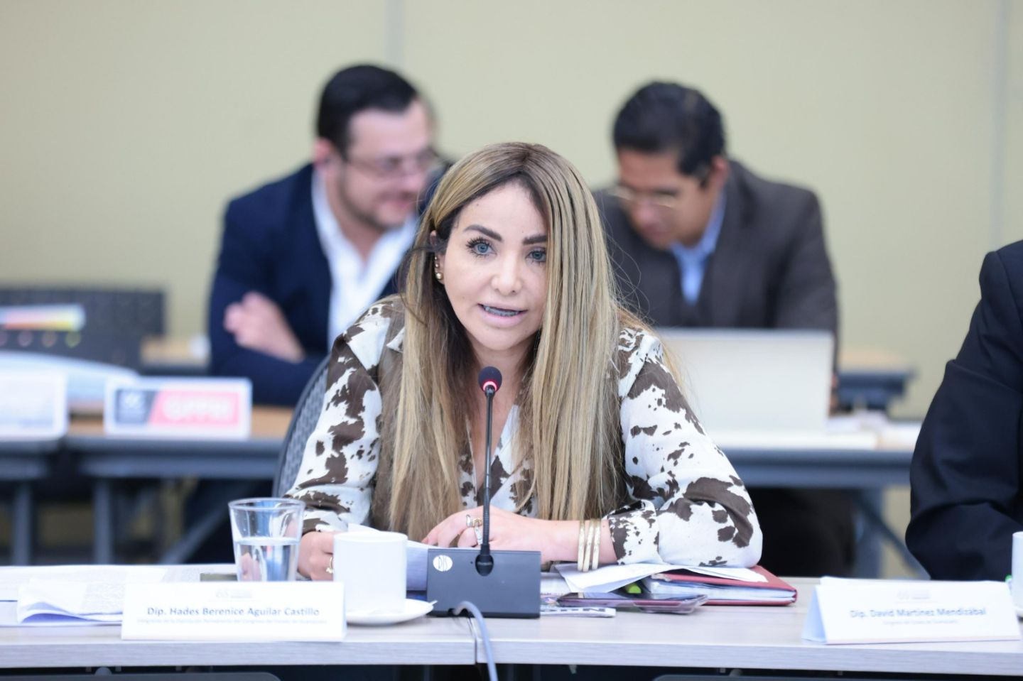 DIPUTADA DENUNCIA QUE LA QUIEREN SILENCIAR A PERIODICAZOS.