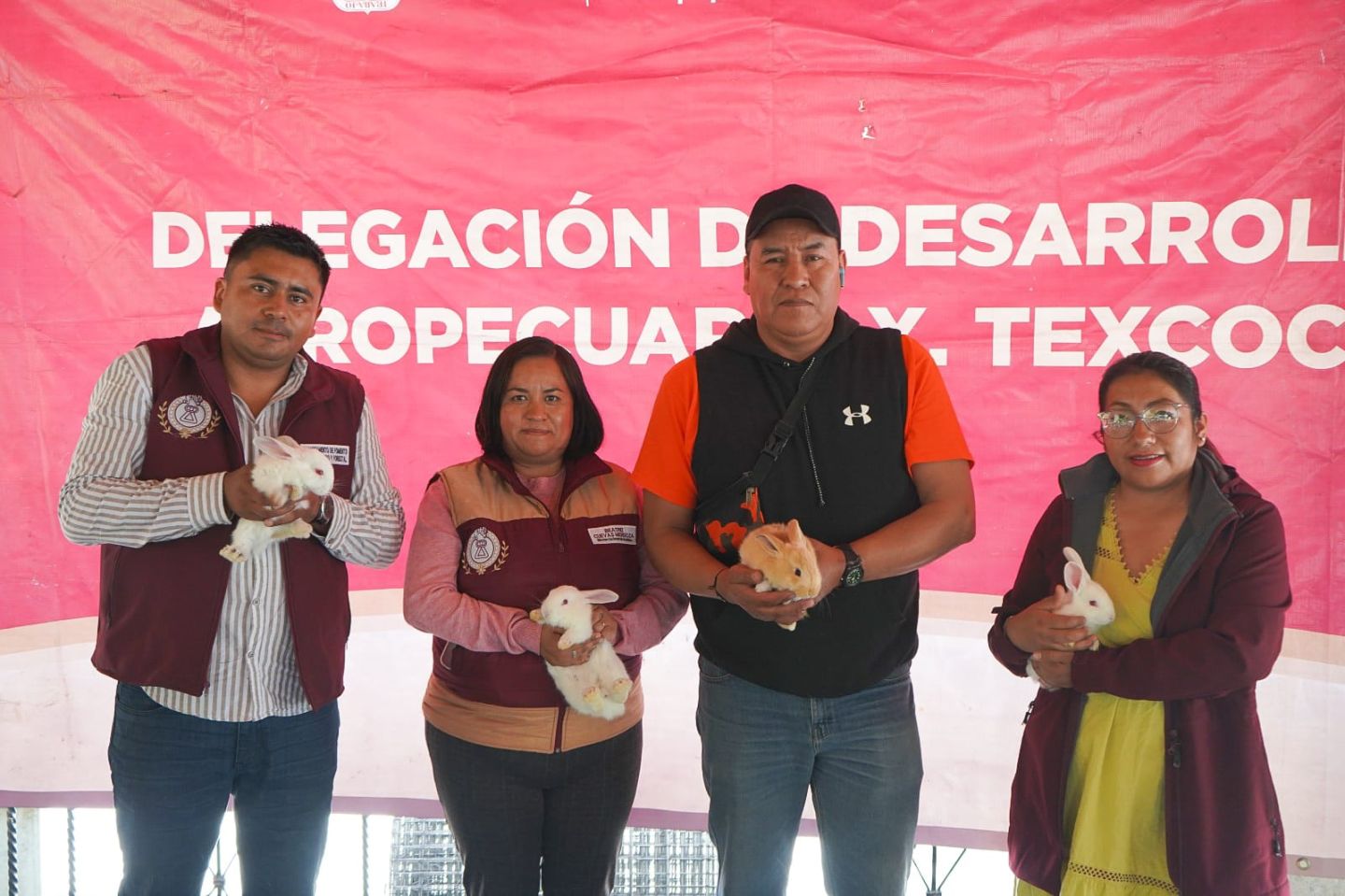 EN CHIMALHUACÁN ENTREGAN PAQUETES CUNÍCOLAS DEL PROGRAMA ’POR EL RESCATE DEL CAMPO’ DEL EDOMEX