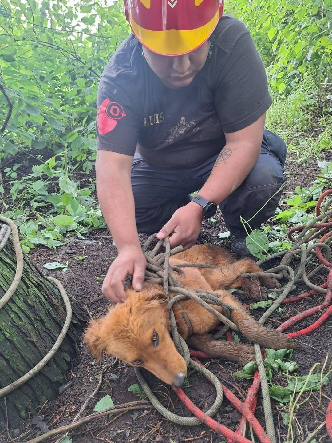 Rescatan a ’Lomito’ que Cayó
en un Pozo en Amecameca