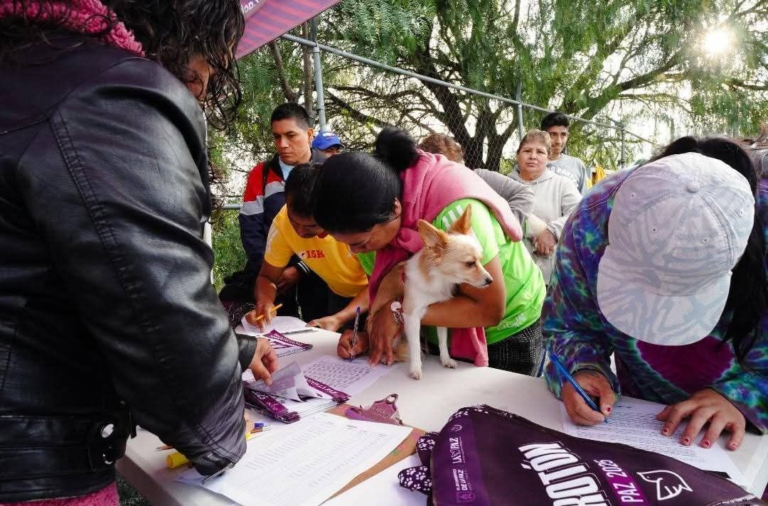 Todo un Éxito el Perrón en el municipio de La Paz 2025