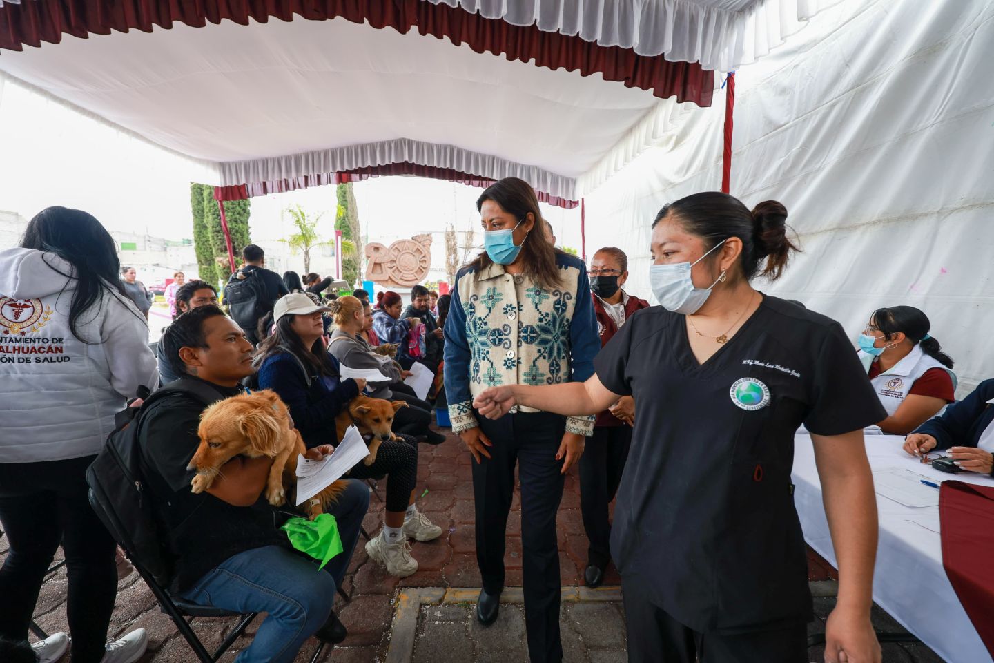 CHIMALHUACÁN: PRIMER LUGAR EN ESTERILIZACIONES CANINAS Y FELINAS EN EL EDOMEX