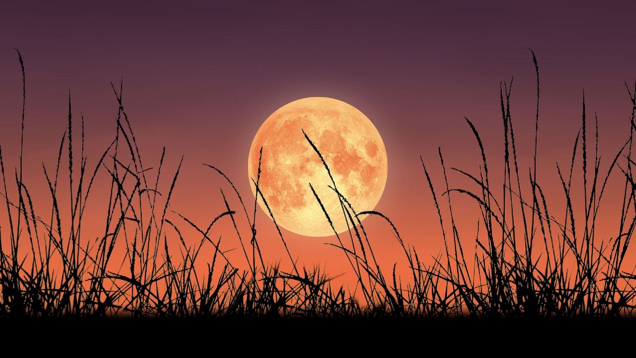 Hoy Super Luna de cosecha