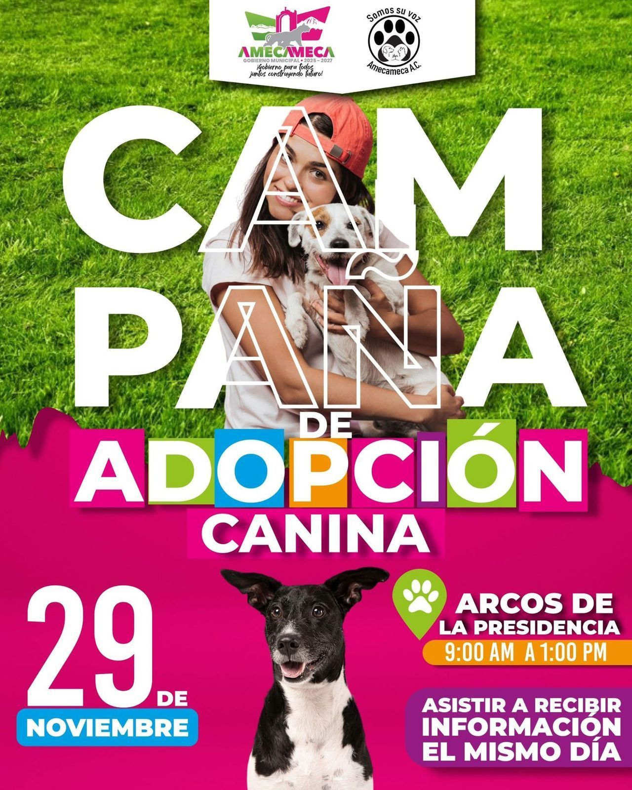 El Gobierno de Amecameca te Invitan
a la Campaña de Adopción Canina.