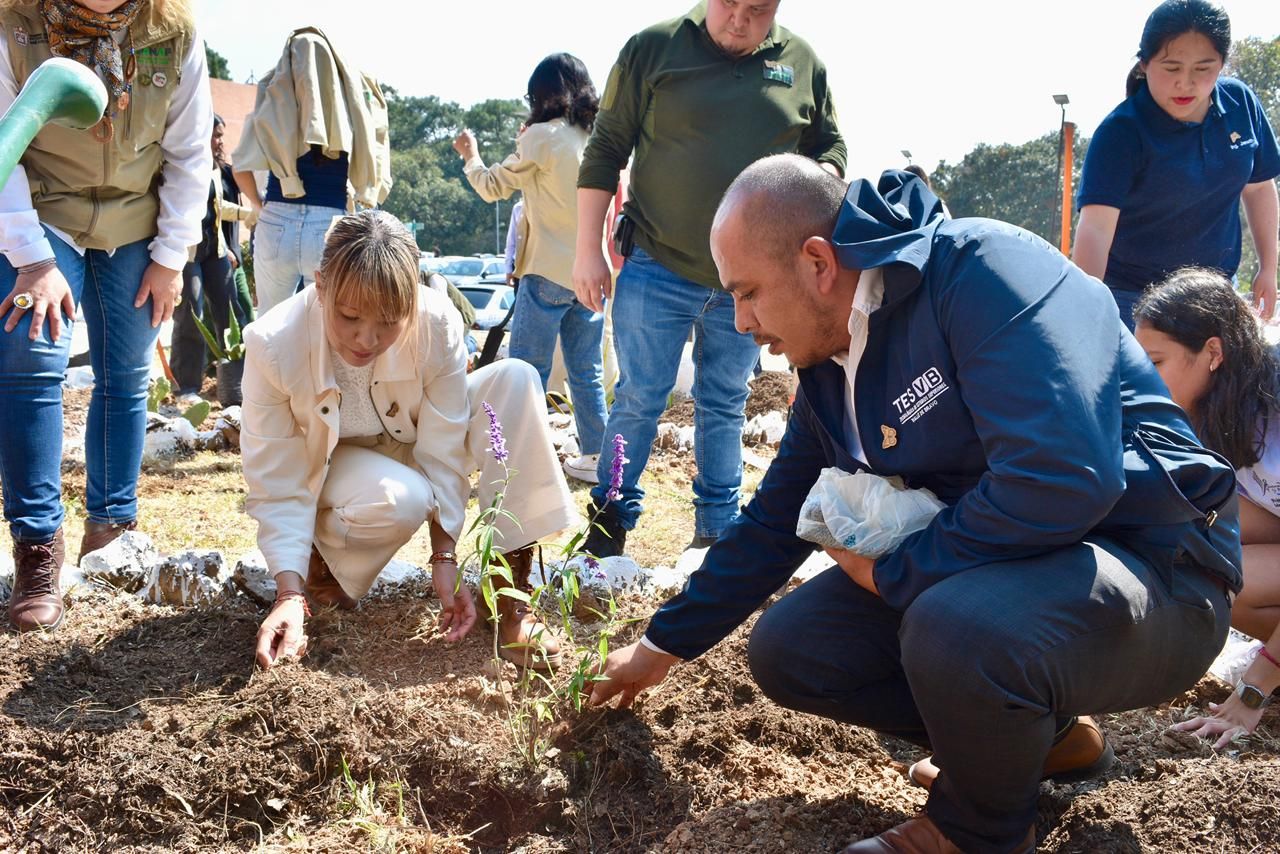 Impulsa Gobierno del EdoMéx y Federación Alianza Permanente para Proteger a la Mariposa Monarca
