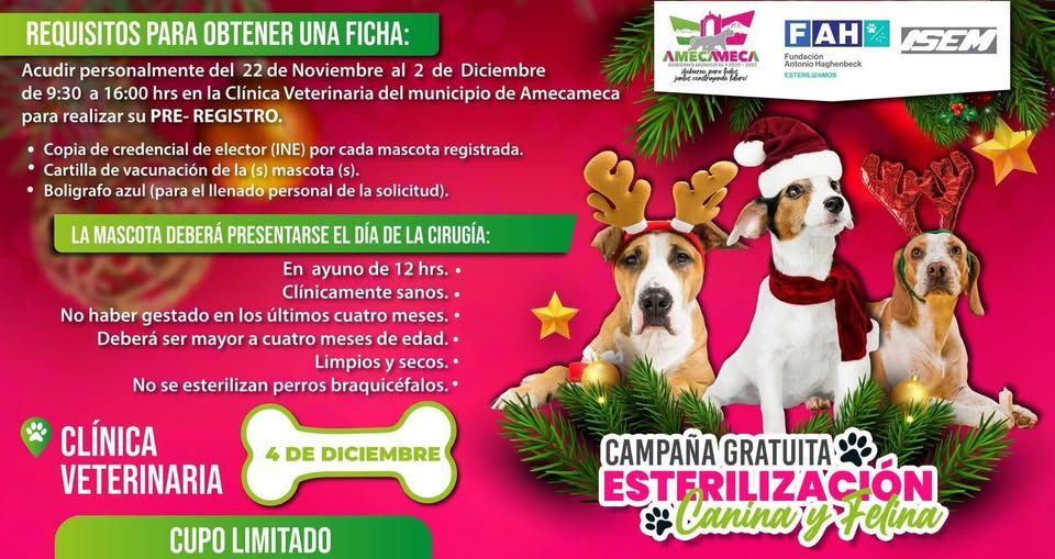  ¡Campaña de Esterilización Gratuita! Asegura el bienestar de tu mascota
