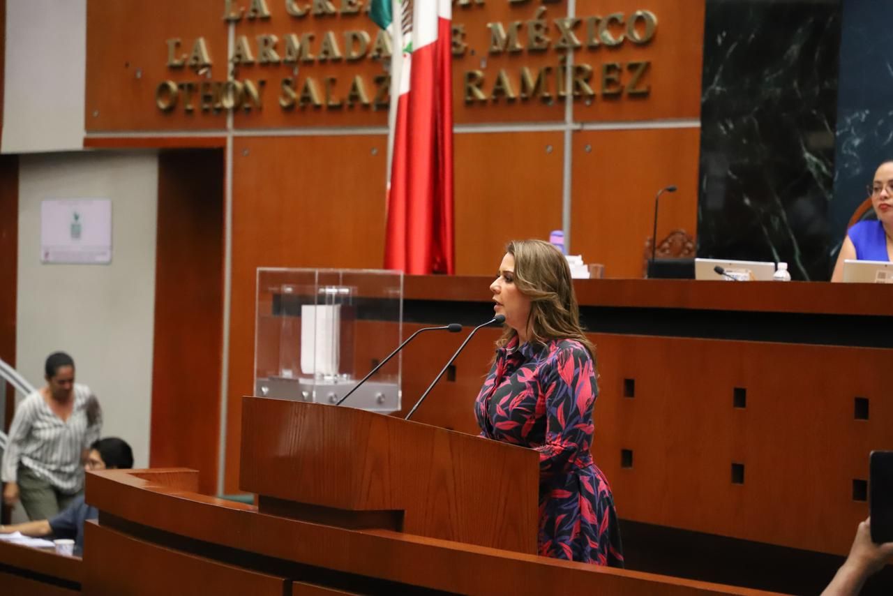 PRESENTA DIPUTADA LA INICIATIVA ’LEY SILLA’ EN GUERRERO