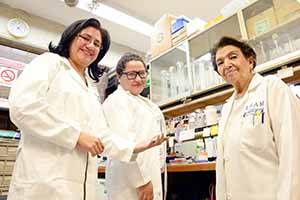 Fármaco contra la cirrosis creado en la UNAM