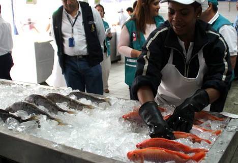 Recomiendan extremar precauciones al comprar pescados y mariscos 