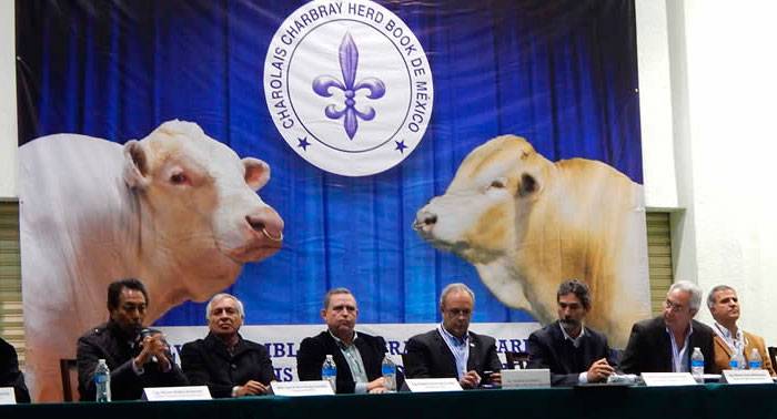 Atrae congresos mundiales la mejora en la calidad genética del ganado mexicano