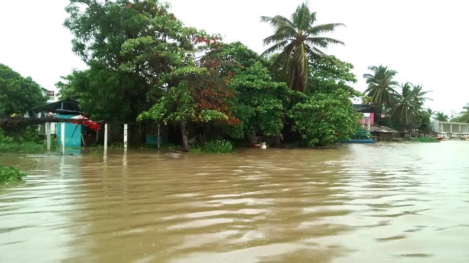 más de 300 viviendas inundadas once derrumbes carreteros y la caída de árboles y postes por Marty